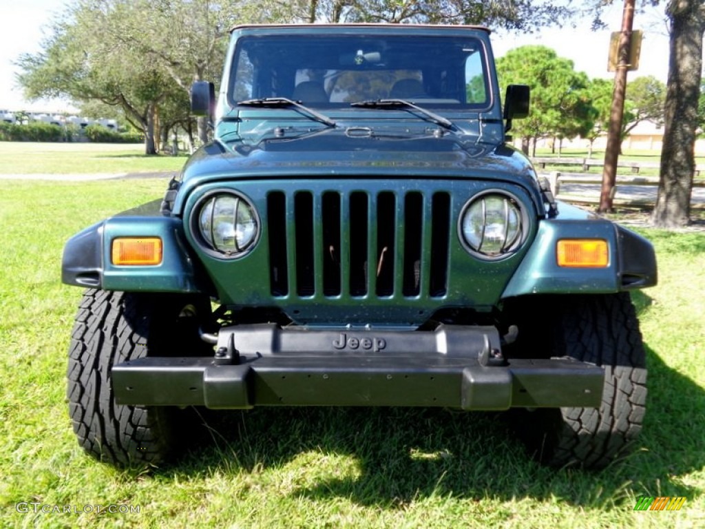 2001 Wrangler Sport 4x4 - Forest Green / Camel photo #9