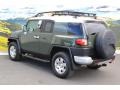 2010 Army Green Toyota FJ Cruiser 4WD  photo #7