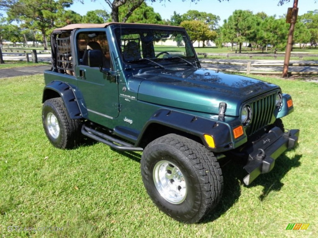 2001 Wrangler Sport 4x4 - Forest Green / Camel photo #11
