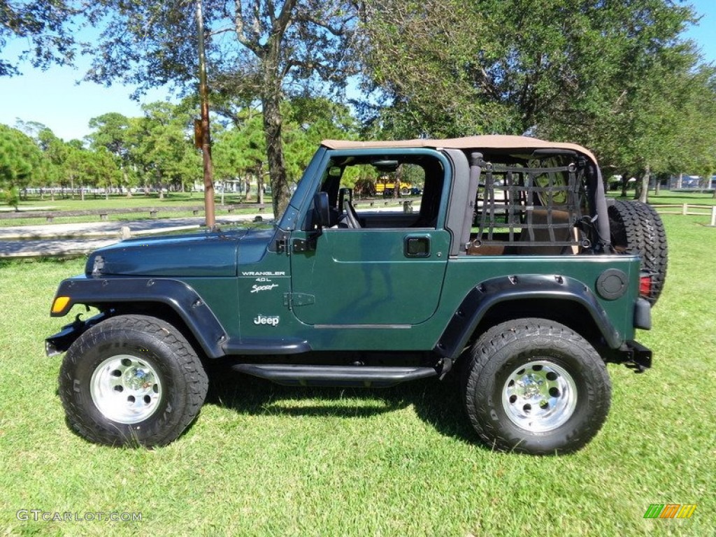 2001 Wrangler Sport 4x4 - Forest Green / Camel photo #13