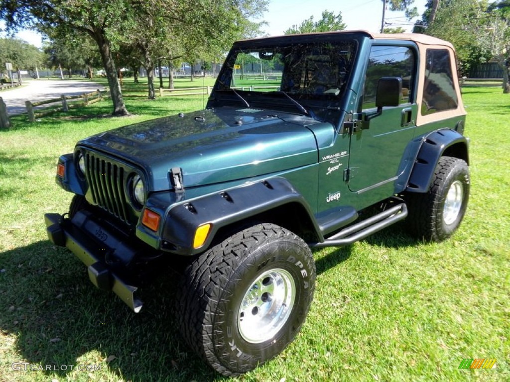 2001 Wrangler Sport 4x4 - Forest Green / Camel photo #16