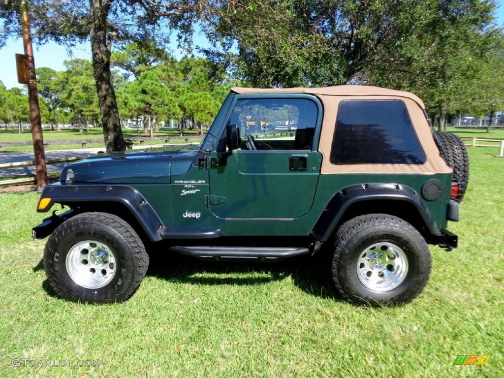 2001 Wrangler Sport 4x4 - Forest Green / Camel photo #18