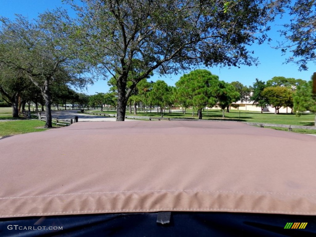 2001 Wrangler Sport 4x4 - Forest Green / Camel photo #19