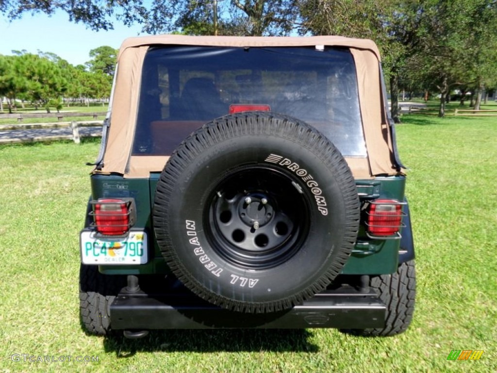 2001 Wrangler Sport 4x4 - Forest Green / Camel photo #20