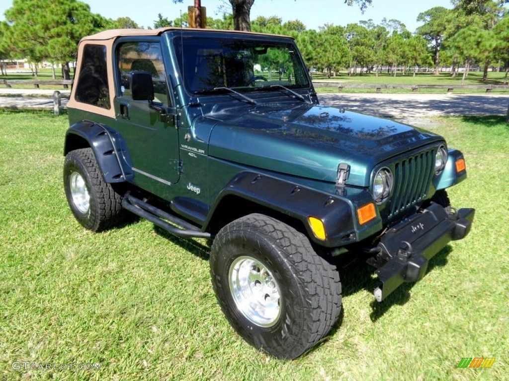 2001 Wrangler Sport 4x4 - Forest Green / Camel photo #22