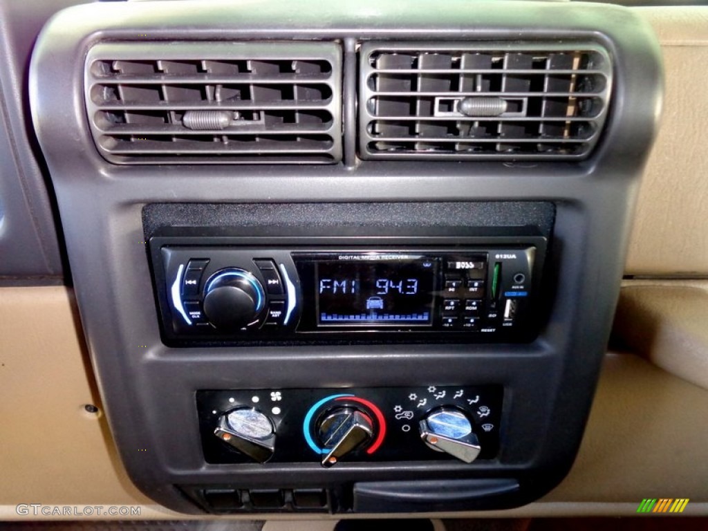 2001 Wrangler Sport 4x4 - Forest Green / Camel photo #25