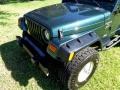 2001 Forest Green Jeep Wrangler Sport 4x4  photo #26