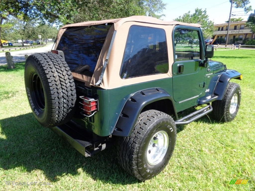 2001 Wrangler Sport 4x4 - Forest Green / Camel photo #28