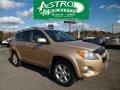 Sandy Beach Metallic 2009 Toyota RAV4 Limited V6 4WD