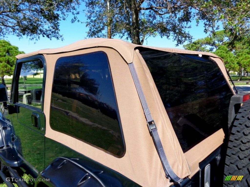 2001 Wrangler Sport 4x4 - Forest Green / Camel photo #30