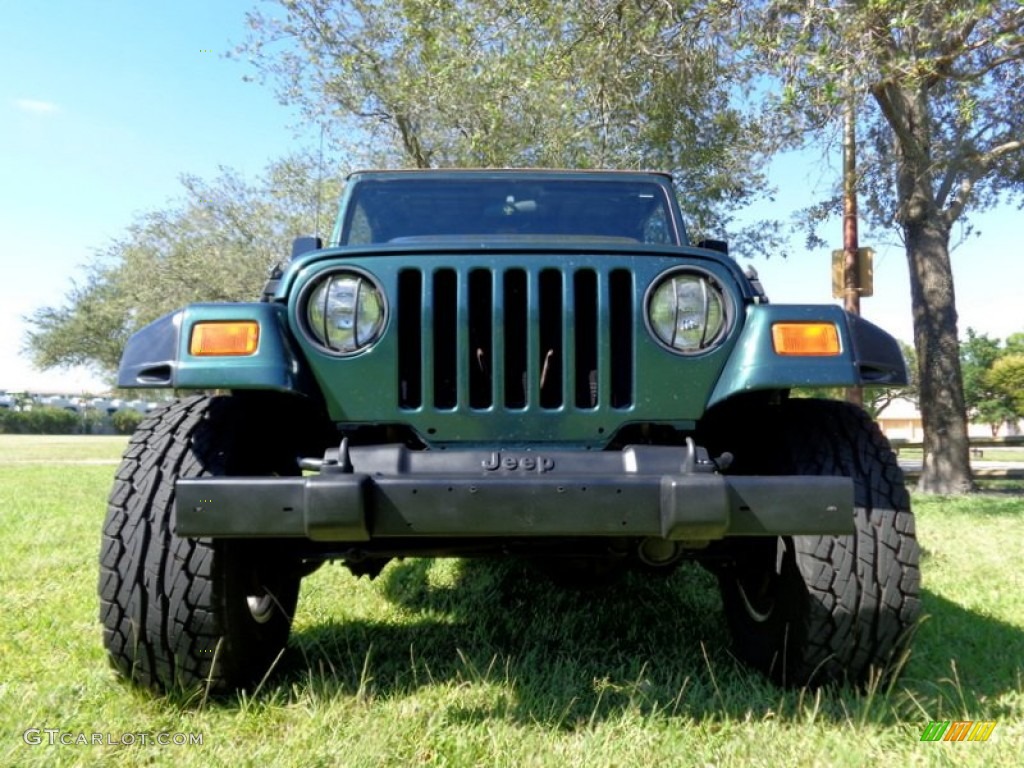 2001 Wrangler Sport 4x4 - Forest Green / Camel photo #41