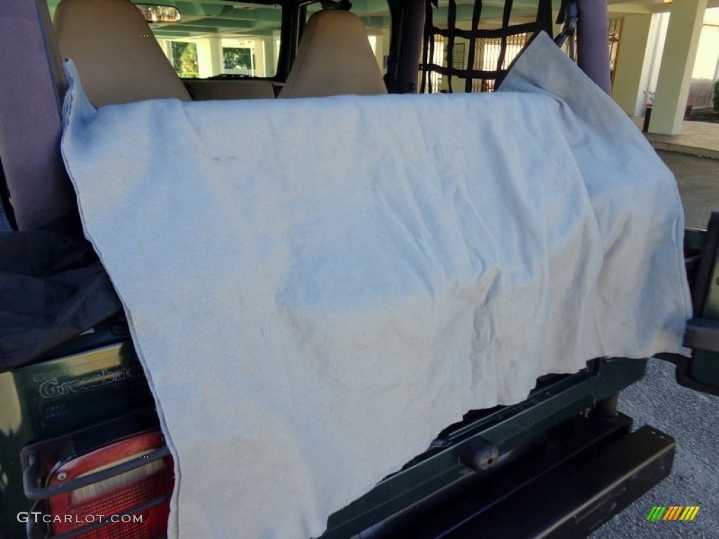 2001 Wrangler Sport 4x4 - Forest Green / Camel photo #62