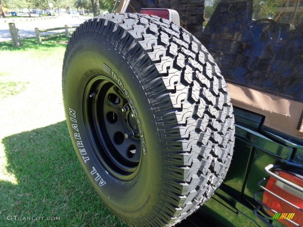 2001 Wrangler Sport 4x4 - Forest Green / Camel photo #67