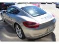 2014 Platinum Silver Metallic Porsche Cayman S  photo #5