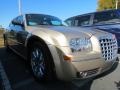 Light Sandstone Metallic - 300 Touring Photo No. 4
