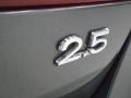 2010 Platinum Grey Metallic Volkswagen Jetta SE Sedan  photo #11