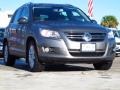 Alpine Grey Metallic 2010 Volkswagen Tiguan SE