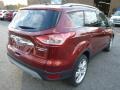 2014 Sunset Ford Escape Titanium 2.0L EcoBoost 4WD  photo #2