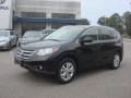 Crystal Black Pearl - CR-V EX-L Photo No. 2