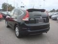Crystal Black Pearl - CR-V EX-L Photo No. 4