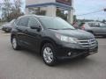 Crystal Black Pearl - CR-V EX-L Photo No. 8