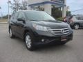 Crystal Black Pearl - CR-V EX-L Photo No. 9