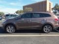 Frosted Mocha - Santa Fe GLS Photo No. 3