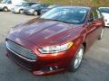 2014 Sunset Ford Fusion SE EcoBoost  photo #5