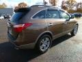 Sahara Bronze - Veracruz Limited AWD Photo No. 6