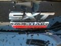 Pitch Black - Dart SXT Photo No. 12