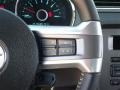 Ingot Silver - Mustang V6 Coupe Photo No. 16