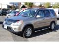 Sahara Sand Metallic - CR-V Special Edition 4WD Photo No. 3