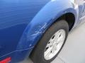 2007 Vista Blue Metallic Ford Mustang V6 Premium Convertible  photo #17