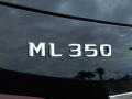 Black - ML 350 Photo No. 4