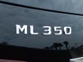 Black - ML 350 Photo No. 4