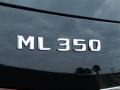 Black - ML 350 Photo No. 4