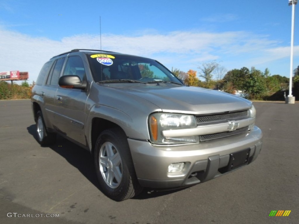 2002 TrailBlazer LS 4x4 - Light Pewter Metallic / Medium Oak photo #1