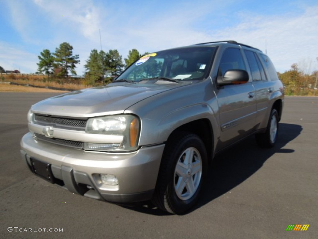 2002 TrailBlazer LS 4x4 - Light Pewter Metallic / Medium Oak photo #2