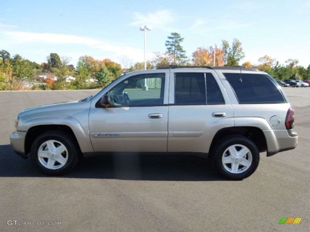2002 TrailBlazer LS 4x4 - Light Pewter Metallic / Medium Oak photo #3
