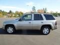 Light Pewter Metallic - TrailBlazer LS 4x4 Photo No. 3