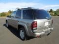 Light Pewter Metallic - TrailBlazer LS 4x4 Photo No. 4