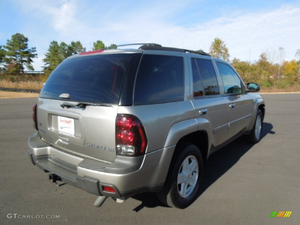2002 TrailBlazer LS 4x4 - Light Pewter Metallic / Medium Oak photo #5