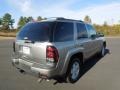 Light Pewter Metallic - TrailBlazer LS 4x4 Photo No. 5
