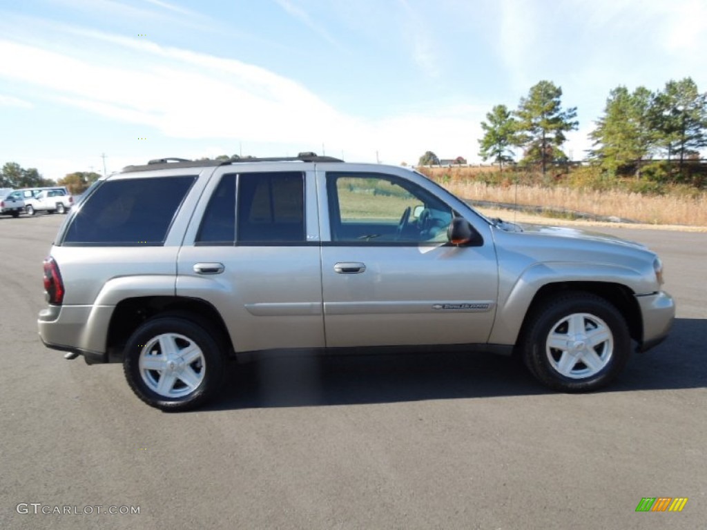 2002 TrailBlazer LS 4x4 - Light Pewter Metallic / Medium Oak photo #6