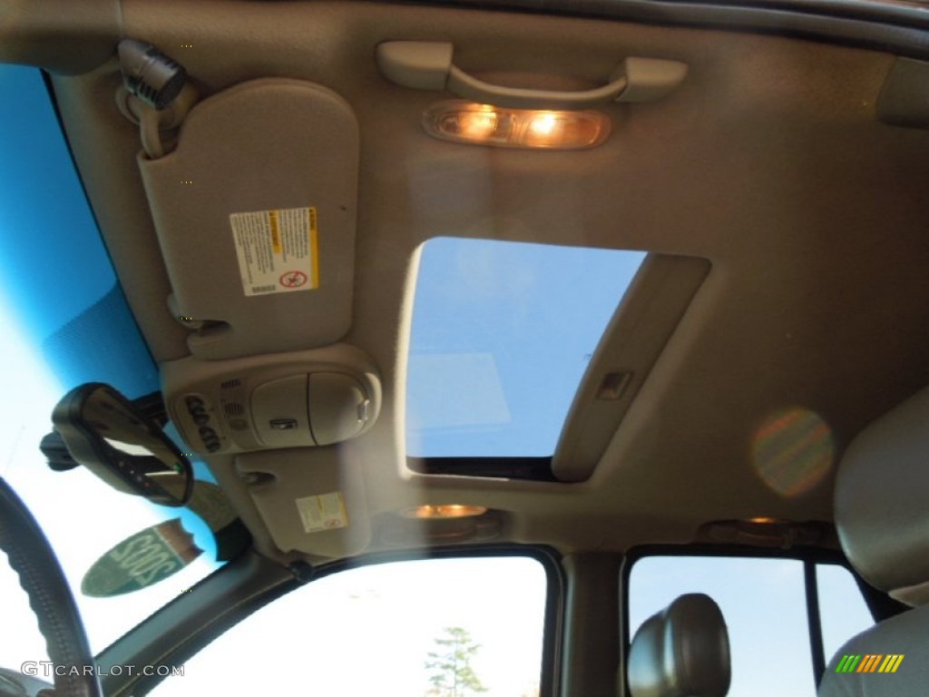 2002 TrailBlazer LS 4x4 - Light Pewter Metallic / Medium Oak photo #10