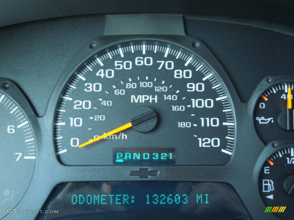 2002 TrailBlazer LS 4x4 - Light Pewter Metallic / Medium Oak photo #14