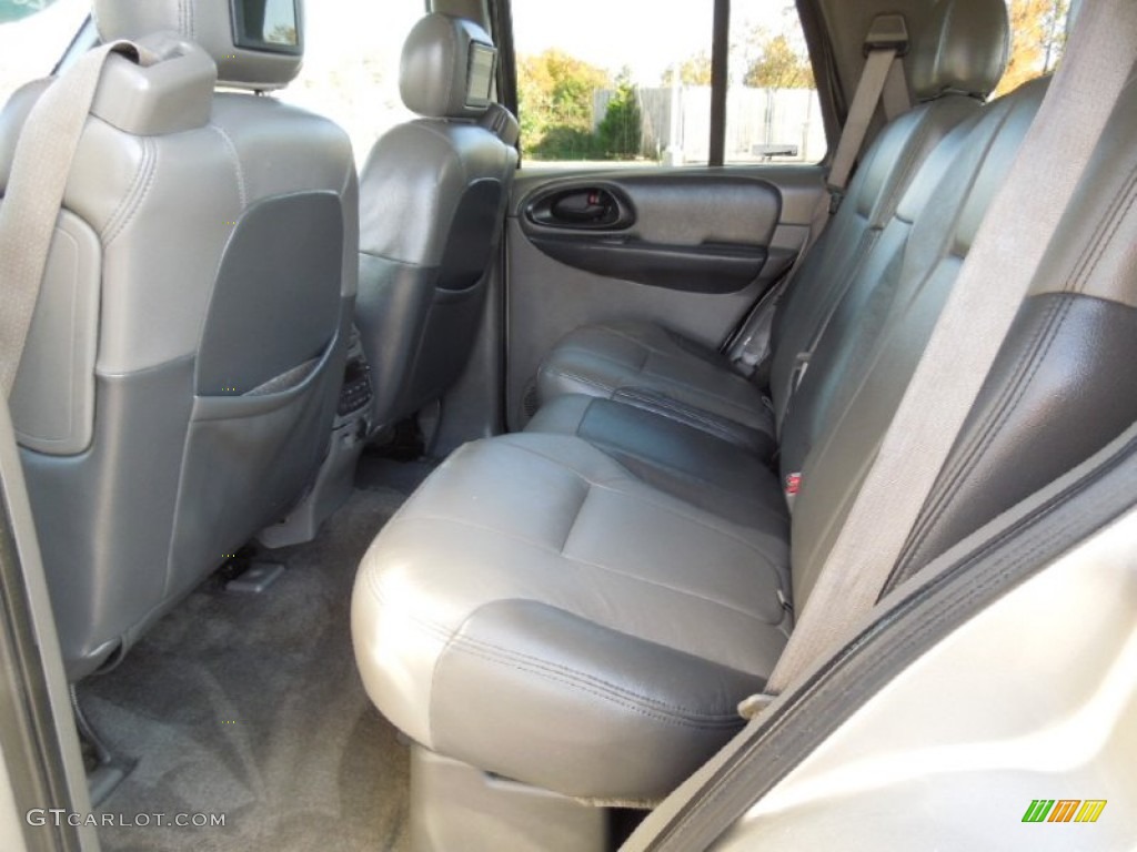 2002 TrailBlazer LS 4x4 - Light Pewter Metallic / Medium Oak photo #15