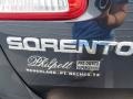 Baltic Blue - Sorento LX Photo No. 19