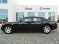 Brilliant Black Crystal Pearl - Charger  Photo No. 2