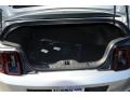Ingot Silver - Mustang V6 Coupe Photo No. 15